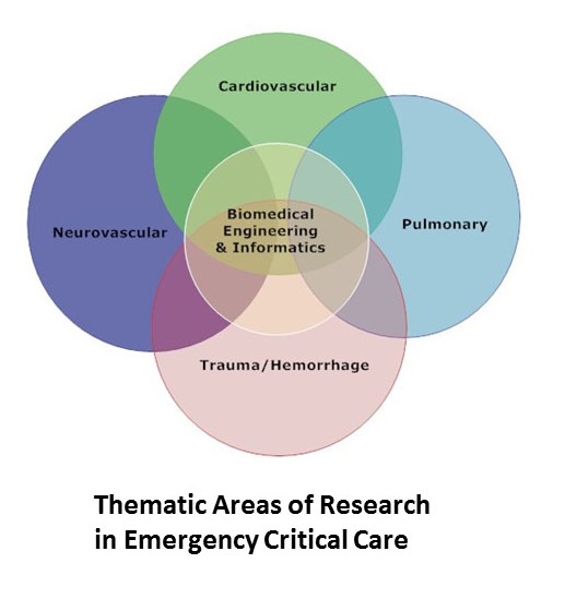 K 12 Career Development Program In Emergency Critical Care Research